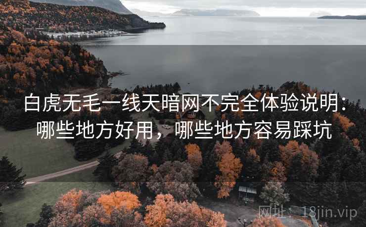 白虎无毛一线天暗网不完全体验说明:哪些地方好用,哪些地方容易踩坑 第1张 白虎无毛一线天暗网不完全体验说明:哪些地方好用,哪些地方容易踩坑 第1张