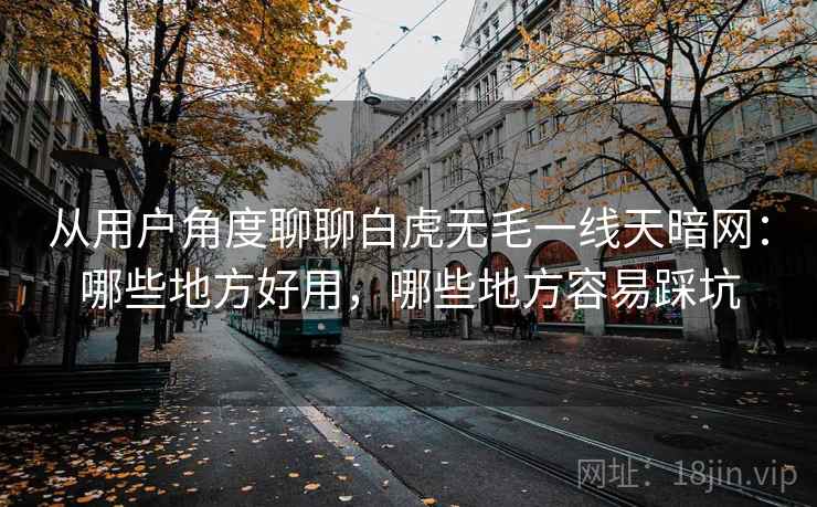 从用户角度聊聊白虎无毛一线天暗网:哪些地方好用,哪些地方容易踩坑 第1张 从用户角度聊聊白虎无毛一线天暗网:哪些地方好用,哪些地方容易踩坑 第1张