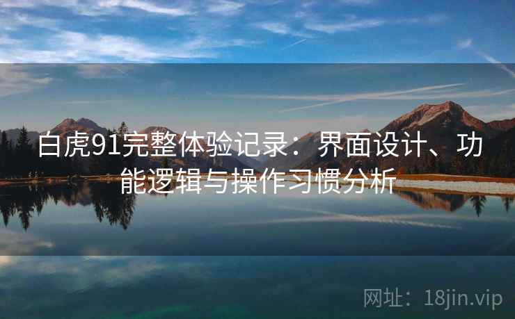 白虎91完整体验记录：界面设计、功能逻辑与操作习惯分析  第1张