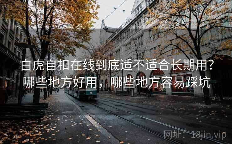 白虎自扣在线到底适不适合长期用？哪些地方好用，哪些地方容易踩坑  第2张