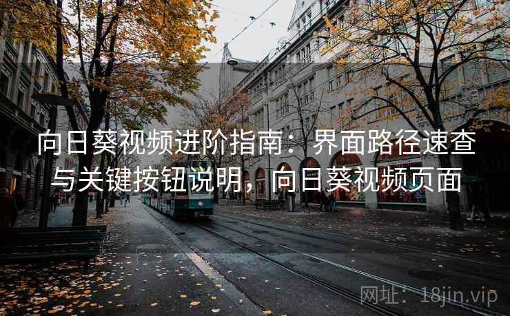 向日葵视频进阶指南：界面路径速查与关键按钮说明，向日葵视频页面  第2张