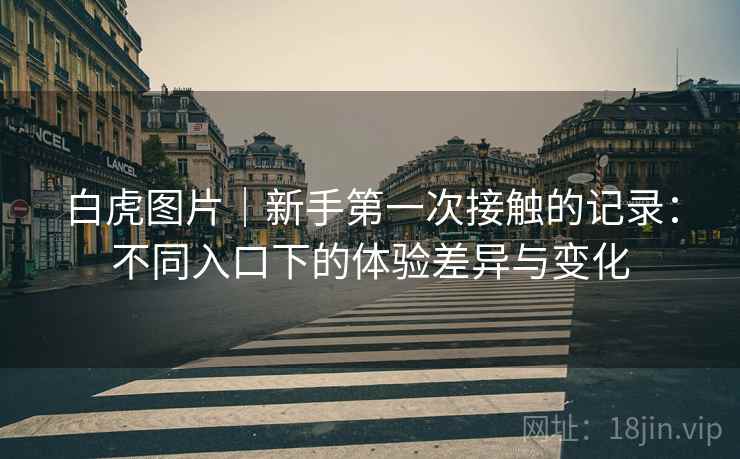 白虎图片｜新手第一次接触的记录：不同入口下的体验差异与变化  第1张