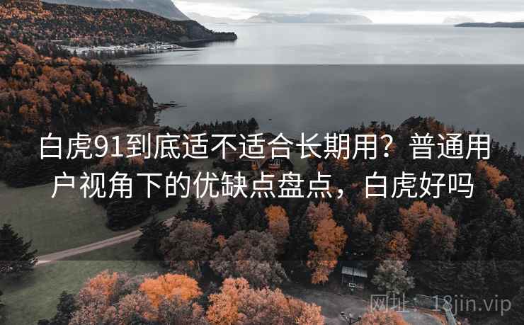 白虎91到底适不适合长期用？普通用户视角下的优缺点盘点，白虎好吗  第1张