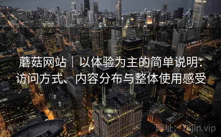 蘑菇网站｜以体验为主的简单说明：访问方式、内容分布与整体使用感受  第1张