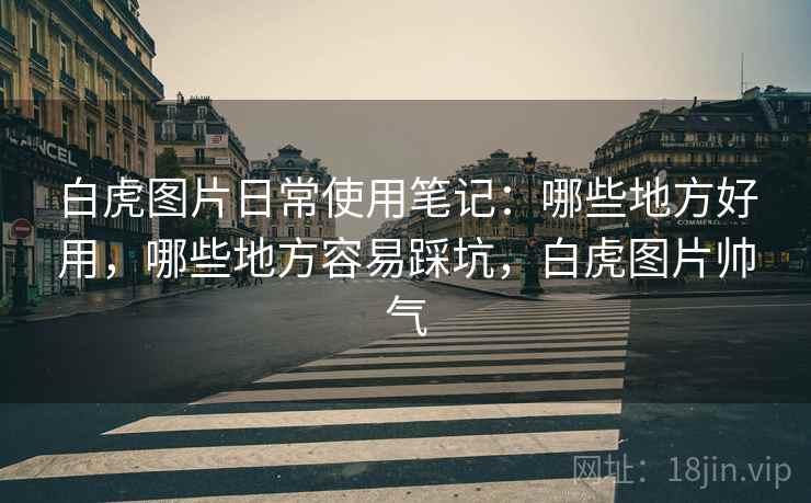 白虎图片日常使用笔记：哪些地方好用，哪些地方容易踩坑，白虎图片帅气  第2张