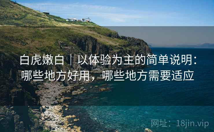 白虎嫩白｜以体验为主的简单说明：哪些地方好用，哪些地方需要适应  第1张