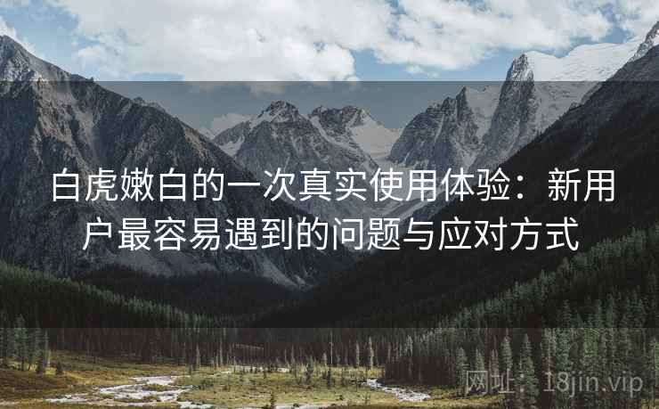 白虎嫩白的一次真实使用体验：新用户最容易遇到的问题与应对方式  第2张