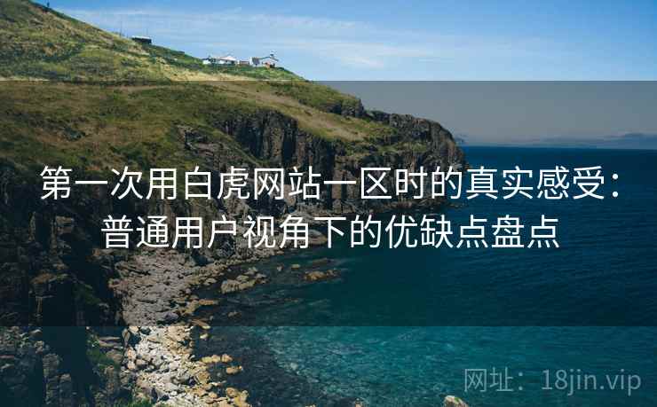 第一次用白虎网站一区时的真实感受：普通用户视角下的优缺点盘点  第1张