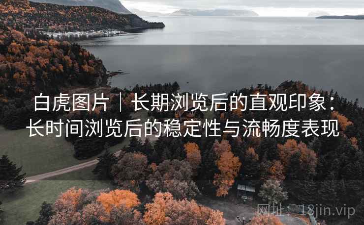 白虎图片｜长期浏览后的直观印象：长时间浏览后的稳定性与流畅度表现  第1张