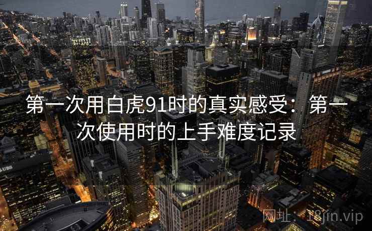 第一次用白虎91时的真实感受：第一次使用时的上手难度记录  第2张