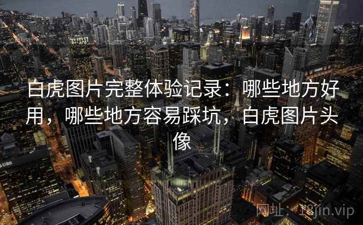 白虎图片完整体验记录：哪些地方好用，哪些地方容易踩坑，白虎图片头像  第1张