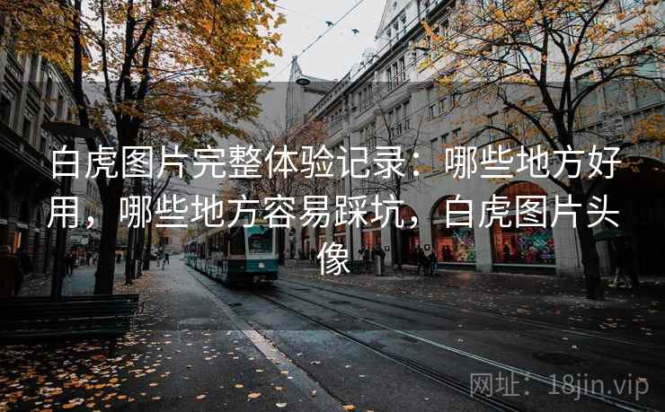 白虎图片完整体验记录：哪些地方好用，哪些地方容易踩坑，白虎图片头像  第2张