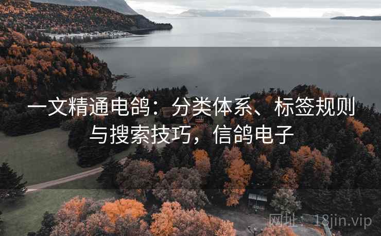 一文精通电鸽：分类体系、标签规则与搜索技巧，信鸽电子  第1张