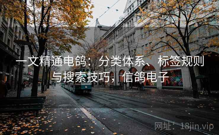 一文精通电鸽：分类体系、标签规则与搜索技巧，信鸽电子  第2张