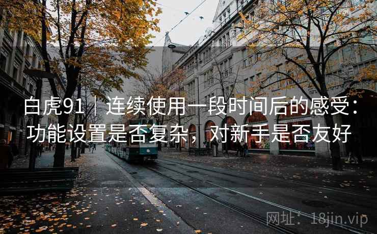 白虎91｜连续使用一段时间后的感受：功能设置是否复杂，对新手是否友好  第2张